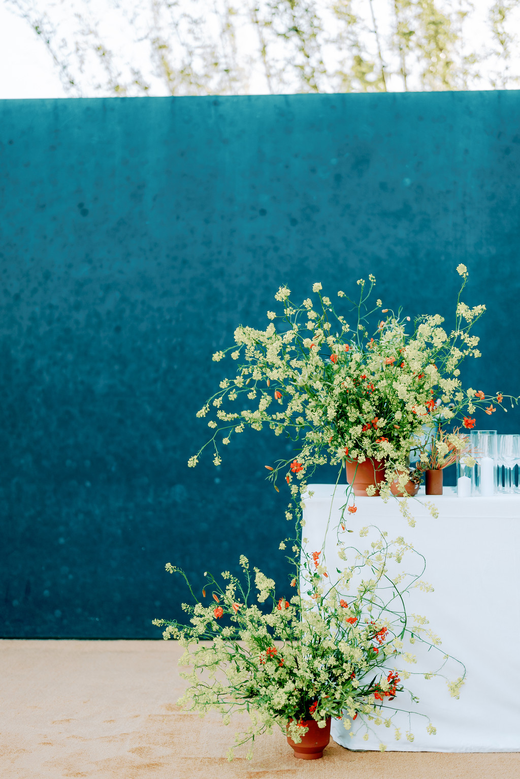 Chanel - © We Are Ona