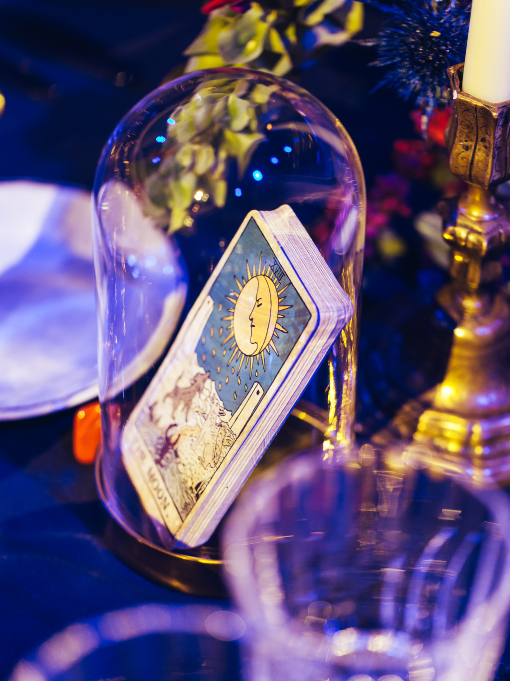 Gucci - © We Are Ona