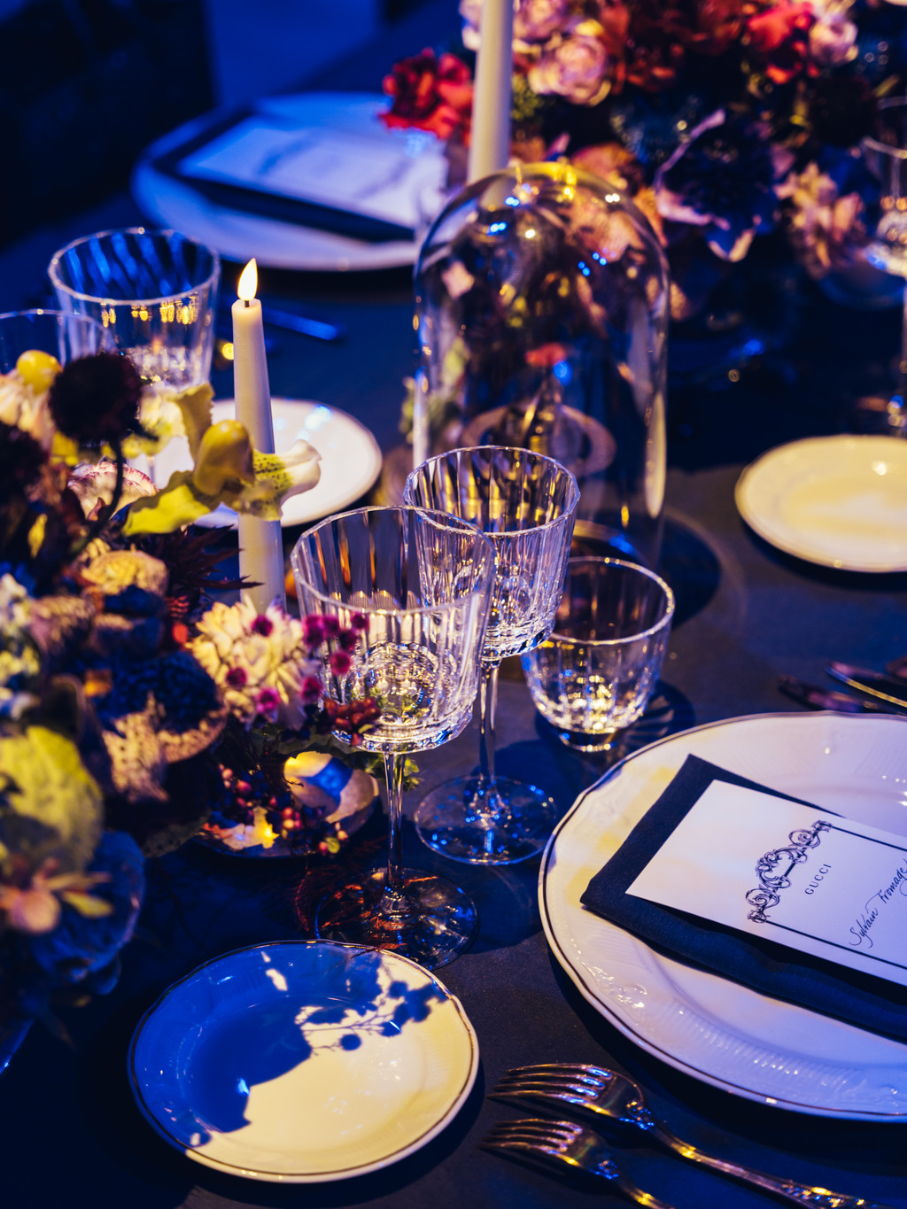 Gucci - © We Are Ona