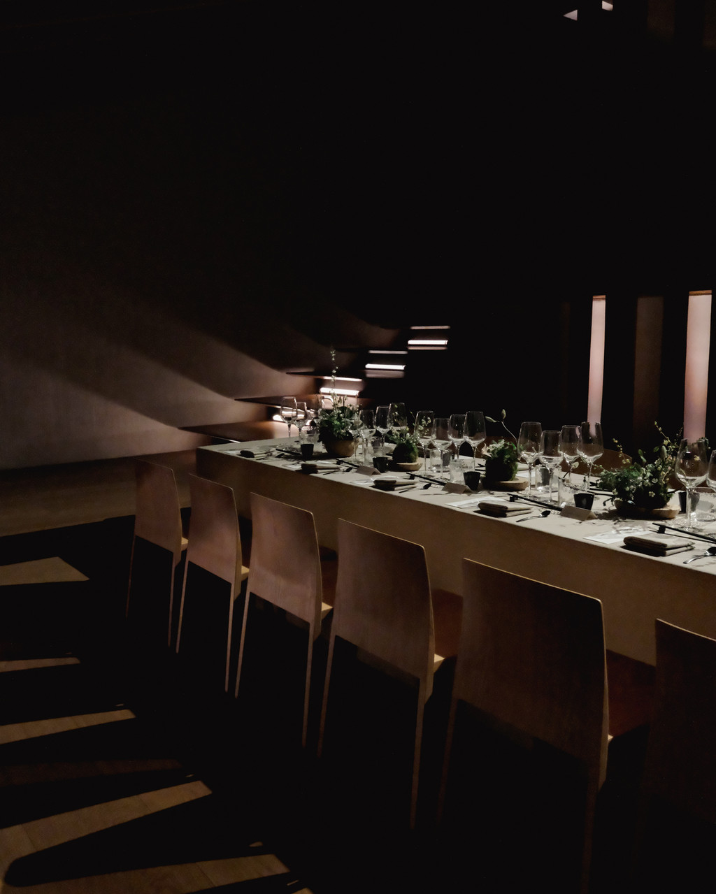 Kenzo - © We Are Ona