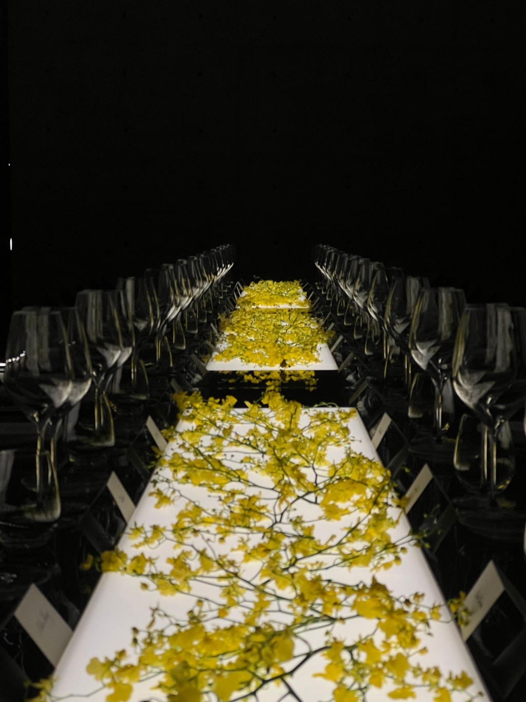 Maison Alaïa - © We Are Ona