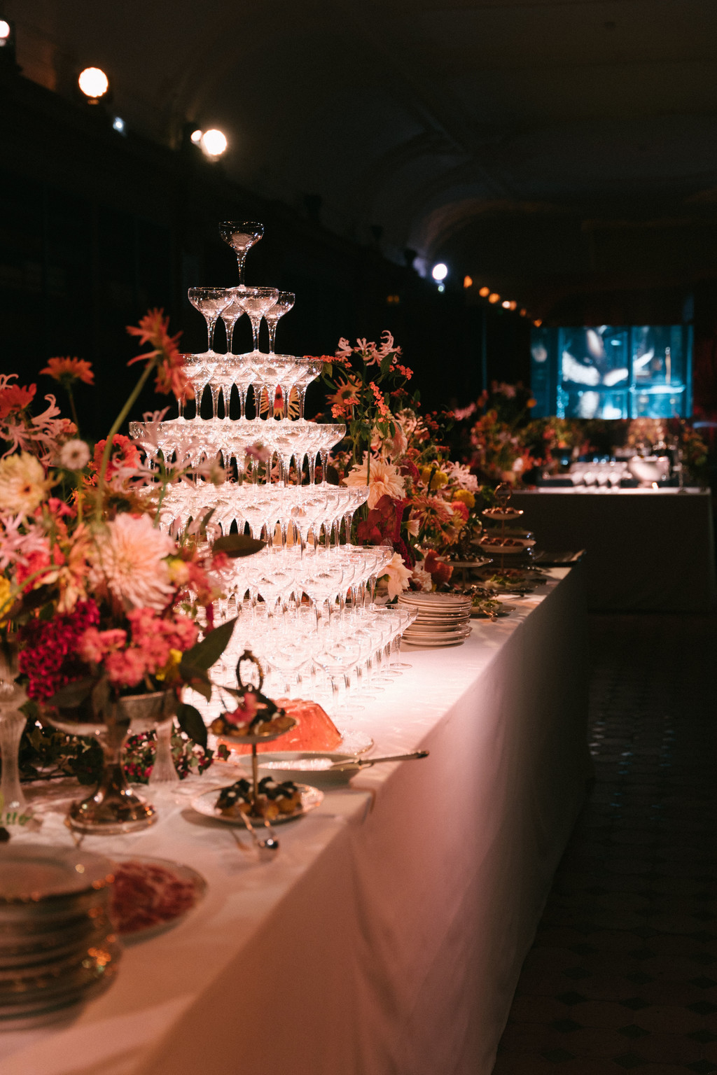 Mango - © We Are Ona