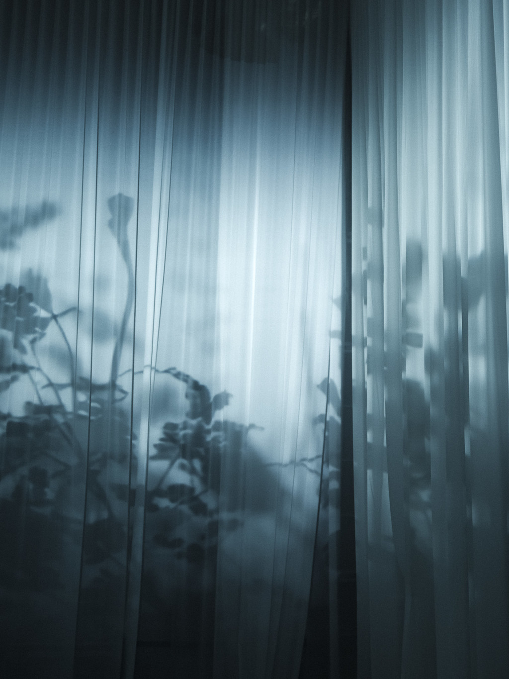 Paradise Art Night - © We Are Ona