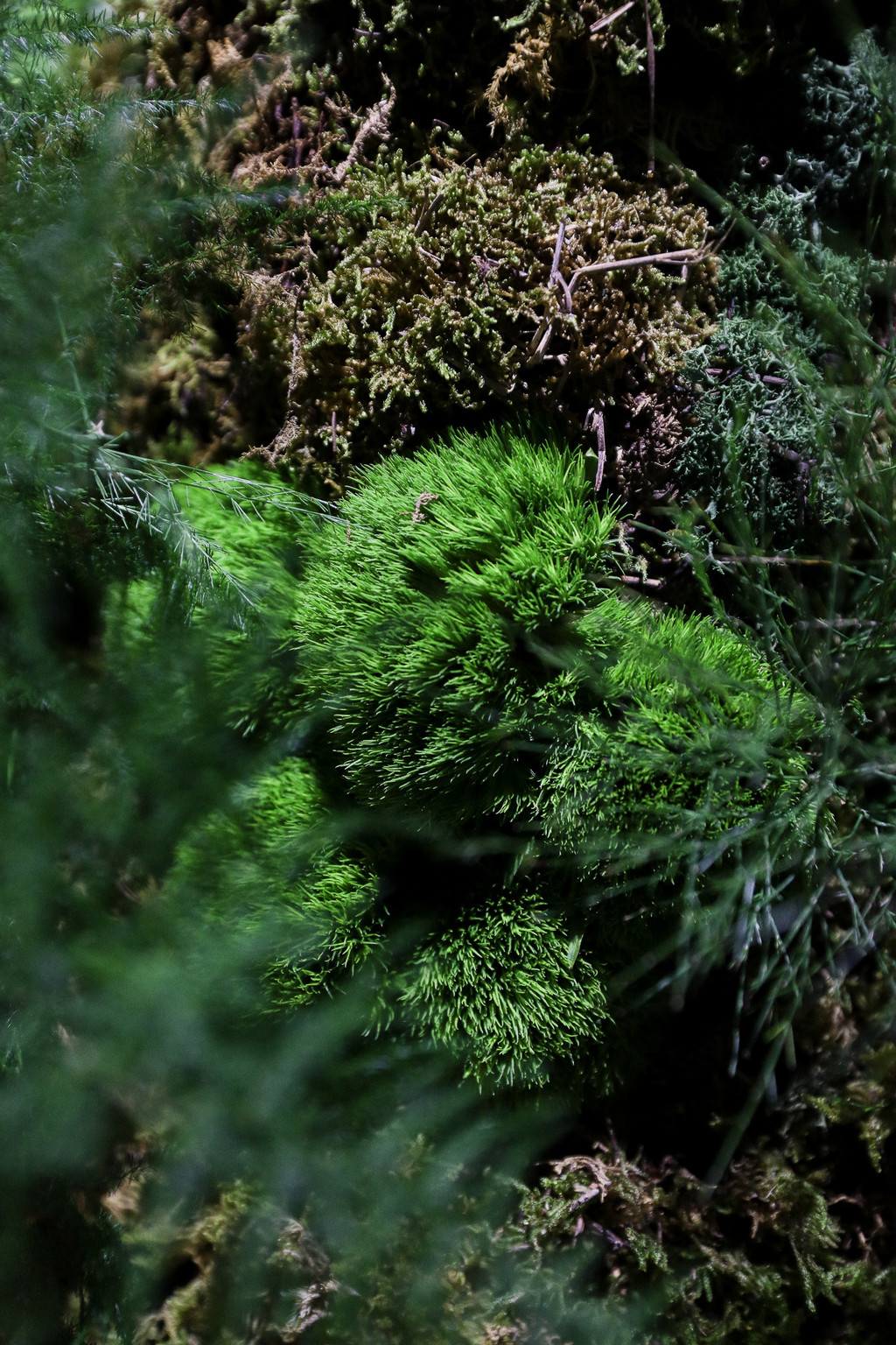 Paradise Art Night - © We Are Ona