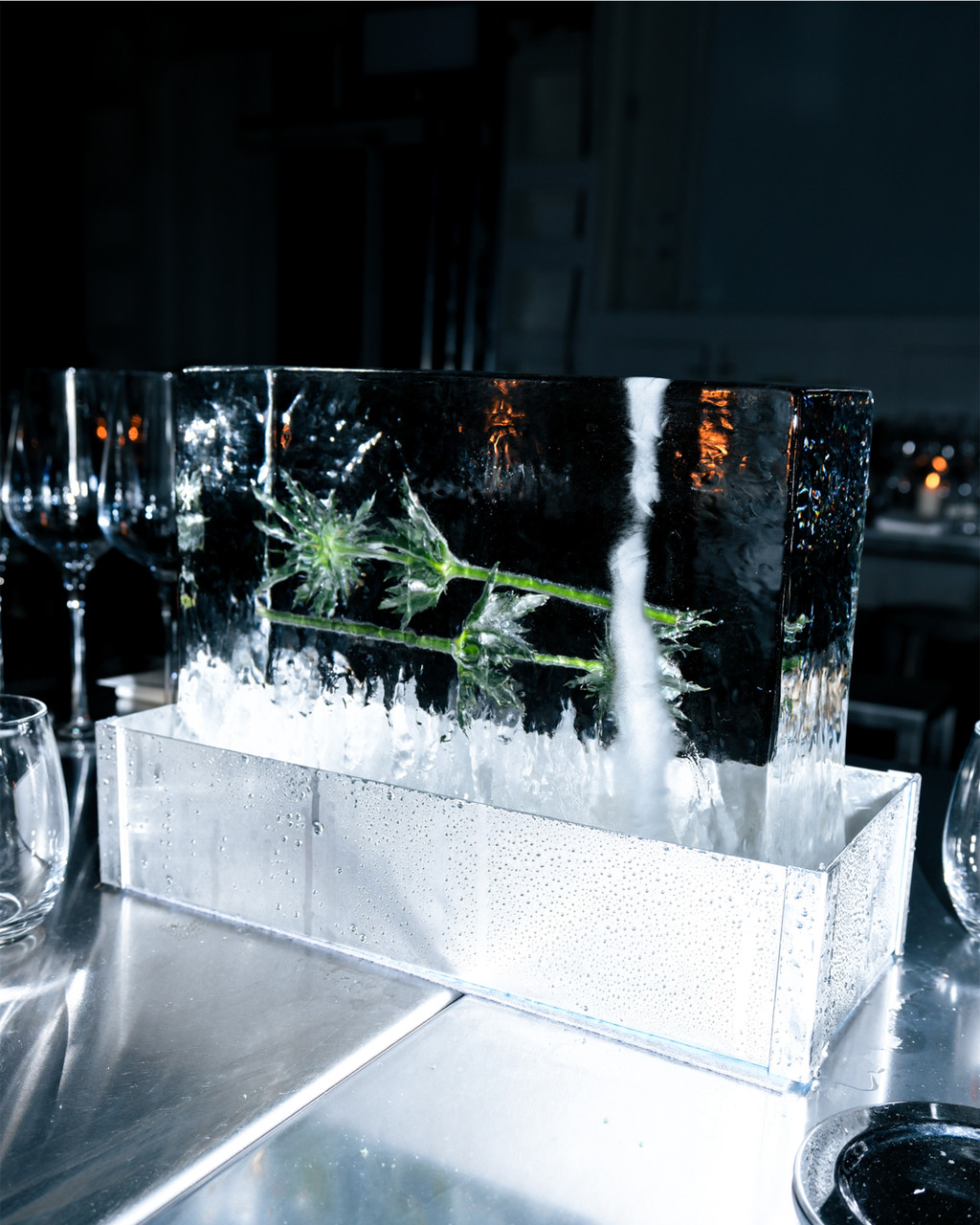 Salomon - © We Are Ona