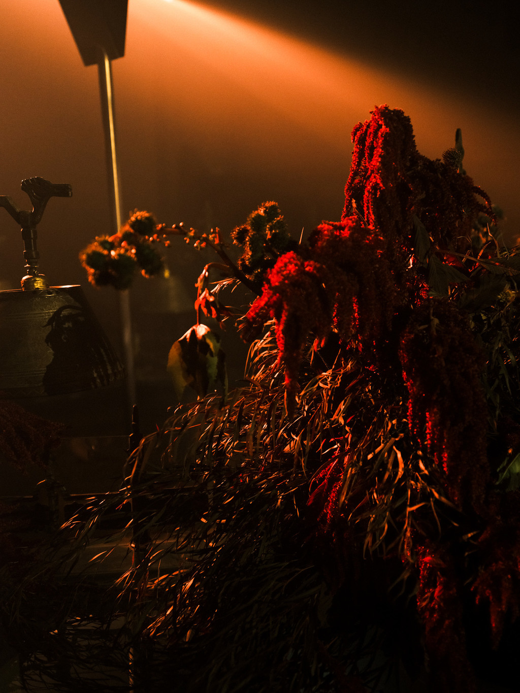 Velocity Black x Grace Ling - © We Are Ona