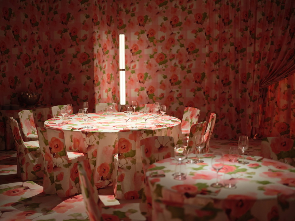 WE ARE ONA x INDIA MAHDAVI - © We Are Ona